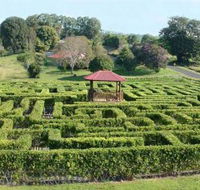 Amaze n Place - Hotel WA