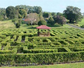 Amaze N Place - Hotel WA 0