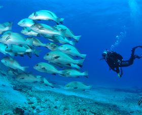 Flat Rock Dive Site - Hotel WA 3