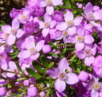 Broadwater National Park - Hotel WA