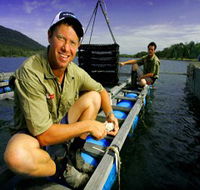 Armstrong Oysters - Hotel WA