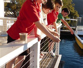 Dunbogan Boatshed - Hotel WA 3