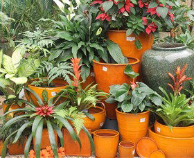 Diamond Waters Garden Nursery - Hotel WA 1