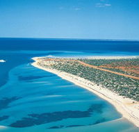 Monkey Mia - Hotel WA