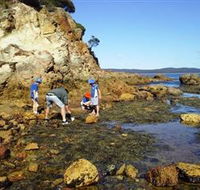 Sapphire Coast Marine Discovery Centre - Hotel WA