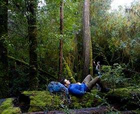 The Tarkine Drive - Hotel WA 0