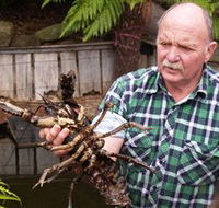 Lobster Ponds - Hotel WA