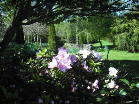 Annsleigh Gardens And Cafe - Hotel WA 3