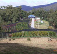 Motton Terraces - Hotel WA