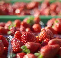 Turners Beach Berry Patch - Hotel WA