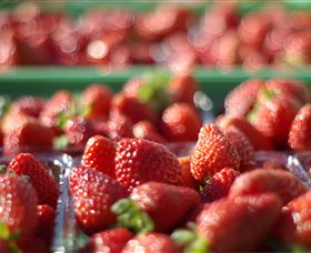 Turners Beach Berry Patch - Hotel WA 0