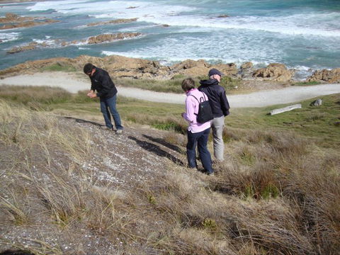 Tall Timbers Adventure Tours - Hotel WA 12
