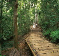 Lake Barrine Circuit Track Crater Lakes National Park - Hotel WA
