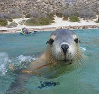 Calypso Star Charters - Hotel WA