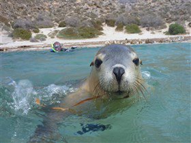 Calypso Star Charters - Hotel WA 3