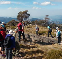 Hedonistic Hiking - Hotel WA