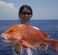 Absolute Ocean Charters - Hotel WA