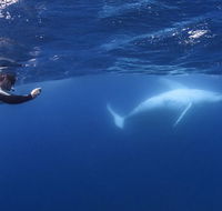 Sunreef Mooloolaba - Hotel WA