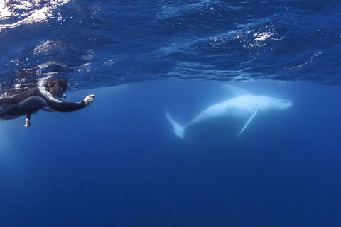 Sunreef Mooloolaba - Hotel WA 4