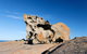 Kangaroo Island Odysseys - thumb 6