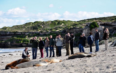 Kangaroo Island Odysseys - Hotel WA 25