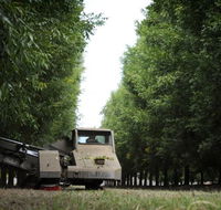 ODempseys Charters and Tours - Hotel WA