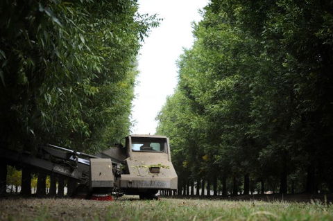 ODempseys Charters And Tours - Hotel WA 0