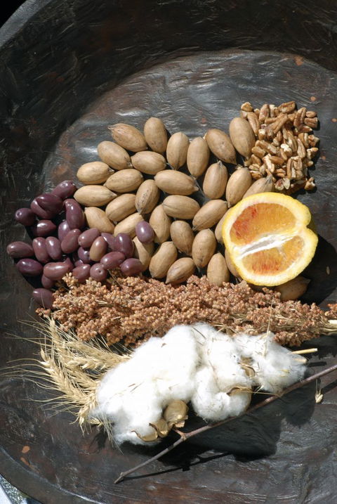 ODempseys Charters And Tours - Hotel WA 2