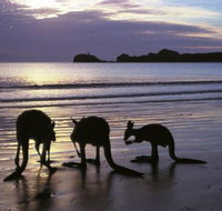 Beachcomber Cove Track - Hotel WA