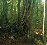 Tullawallal circuit - Hotel WA