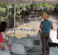 Whitsunday Crocodile Safari - Hotel WA