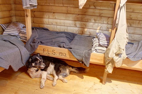 Mawson's Huts Replica Museum - Hotel WA 7