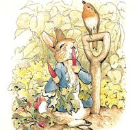 Mount Isa Civic Centre - Hotel WA