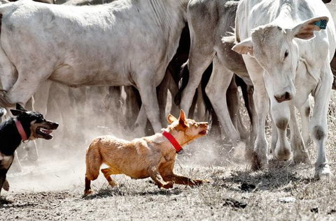 David Hancock Photography - Hotel WA 2