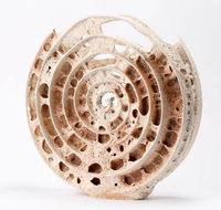 Noosa Regional Gallery - Hotel WA