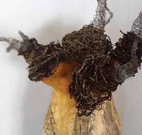 Caldera Wildscapes Gallery - Hotel WA