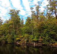A R Reflections River Cruises - Hotel WA