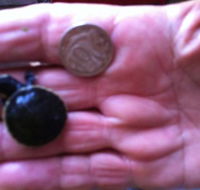 Hurleys Aquariums - Hotel WA