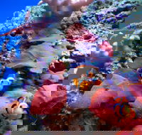 Tropical Marine Centre - Hotel WA