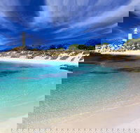 Rottnest Island Grand Tour Including Lunch and Historical Train Ride - Hotel WA
