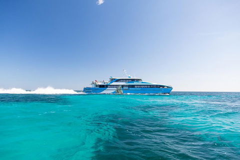 Fremantle To Rottnest Island Roundtrip Ferry Ticket - Hotel WA 0