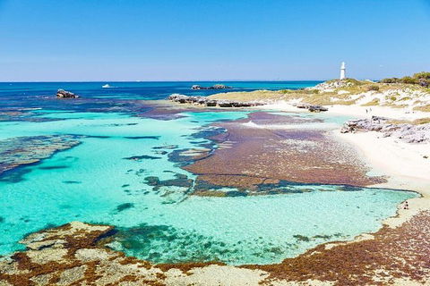 Fremantle To Rottnest Island Roundtrip Ferry Ticket - Hotel WA 1
