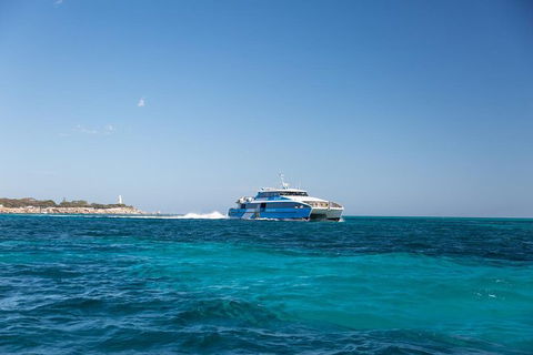 Fremantle To Rottnest Island Roundtrip Ferry Ticket - Hotel WA 6