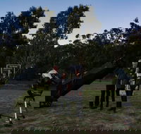 Stargazing Busselton with Mobile Observatory - Hotel WA