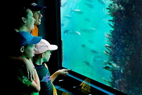 2-hour Busselton Jetty Package: Jetty Train And Underwater Observatory - Hotel WA 1