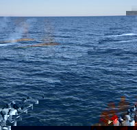 Blue Whale Perth Canyon Expedition - Hotel WA
