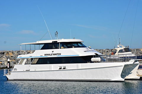 Blue Whale Perth Canyon Expedition - Hotel WA 6