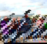 Margaret River Wine and Sights Discovery Tour from Busselton or Dunsborough - Hotel WA