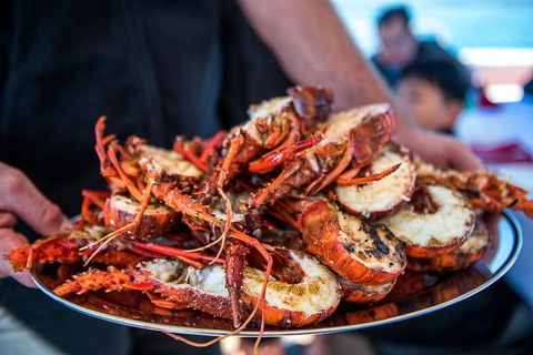 Mandurah Wild Seafood Adventure Cruise - Hotel WA 1