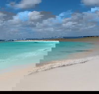 Pink Lake and Abrolhos Full Day Fly and Flipper - Hotel WA